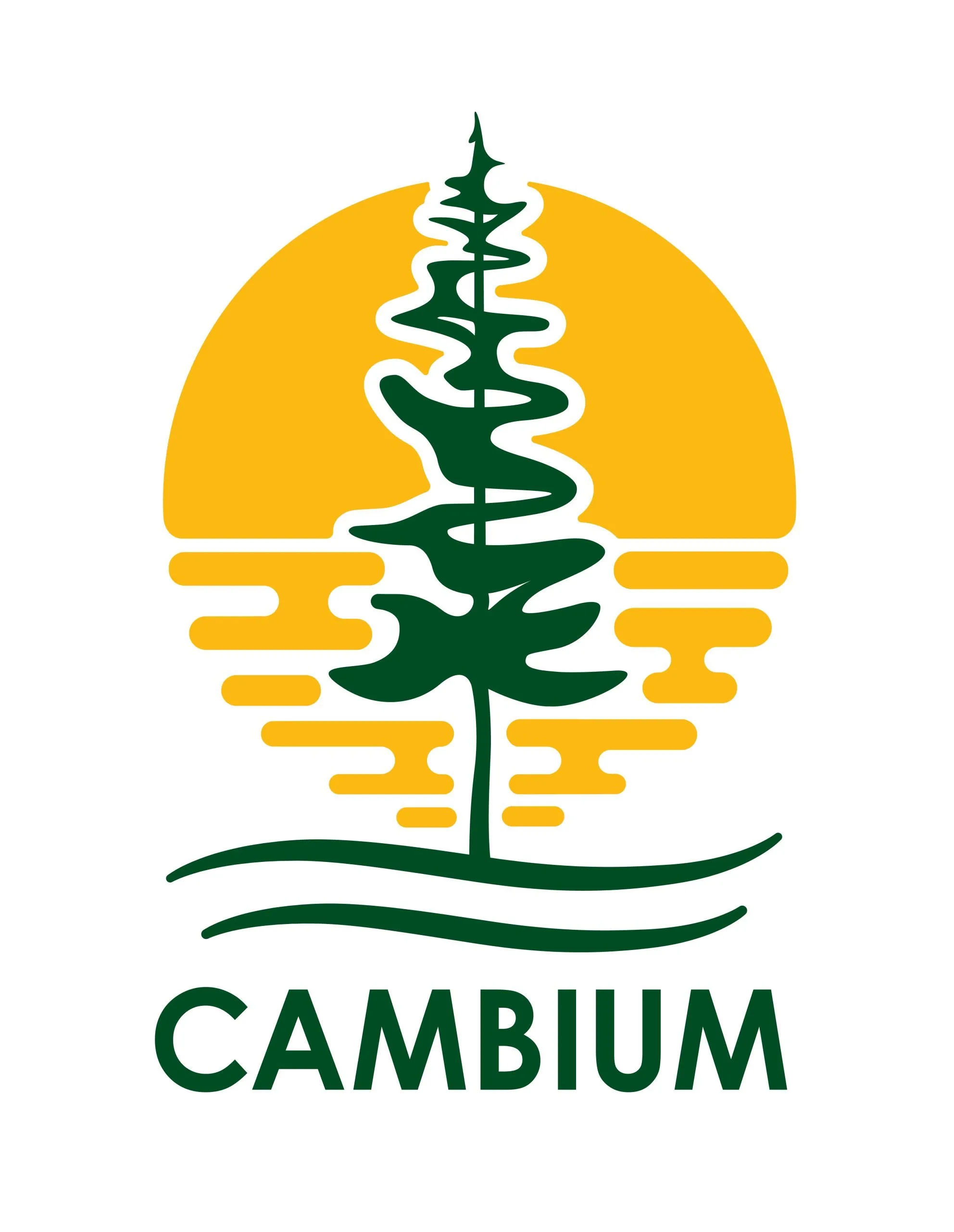Cambium_logo_portrait-RGB_Large-Colour-scaled